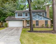 45 Coralberry Road, The Woodlands image