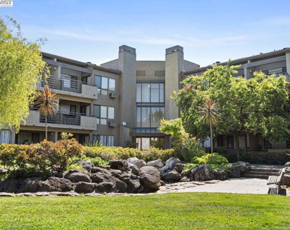 39078 Guardino Dr 304, Fremont