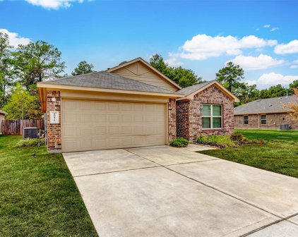 10135 Shagbark Hickory Court, Tomball