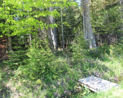 Lot 266 N Forest Beach Shores, Northport