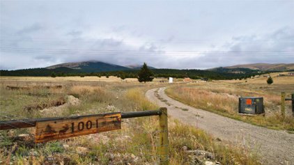 801 & 1001 Spring Gulch Rd, Anaconda