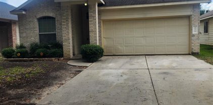 20319 Bright Point Court, Tomball