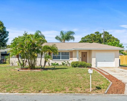8828 110th Street, Seminole