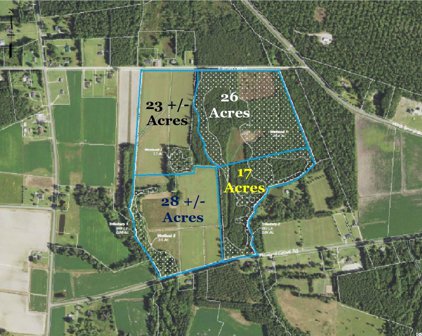 2650 Pleasant Grove Rd., Loris