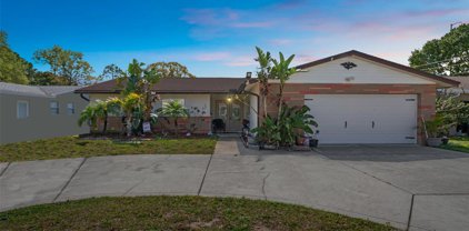 2215 Curtis Drive N, Clearwater