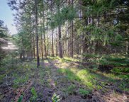 21838 Pinto Lane, Leavenworth image