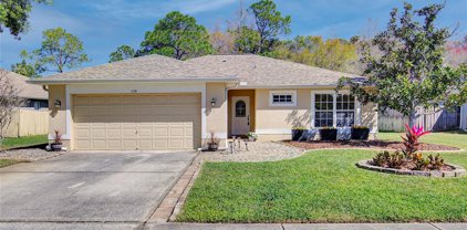 328 Fountainview Circle, Oldsmar