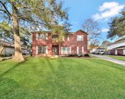 747 Holly Springs Drive, Conroe image
