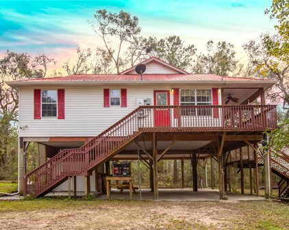 190 Ne Ne Suwannee Trail Trail, Mayo