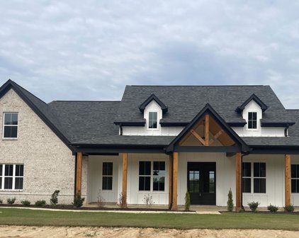 3719 Watson Desoto Road, Byhalia