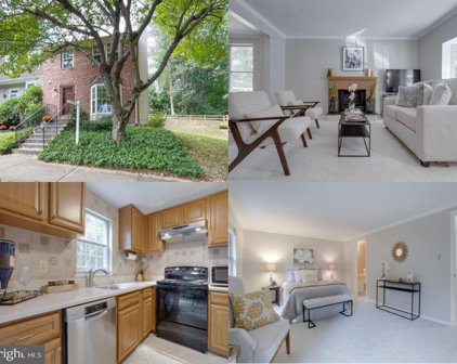 10116 Walnut Wood Ct, Burke