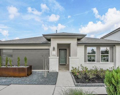 914 Curly Angora Court, Rosharon