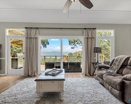 3708 Wyeth Drive, Guntersville
