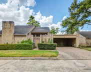 125 Old Bridge Lake, Houston image