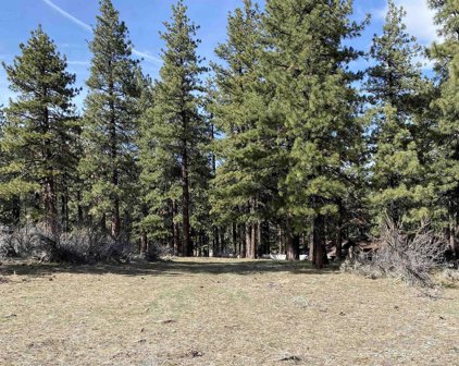 4300 Meadow Wood, Carson City