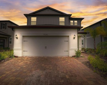 19246 Old Spanish Road, Tampa