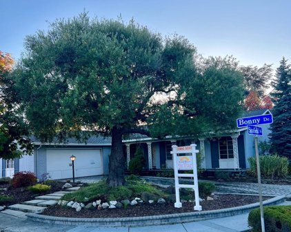 10147 Bonny Drive, Cupertino