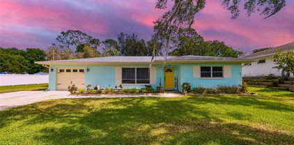 713 Shore Drive E, Oldsmar
