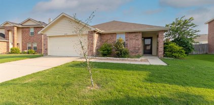 12721 Azure Heights  Place, Rhome