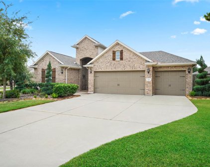 114 Gray Vervain Ct Court, Montgomery
