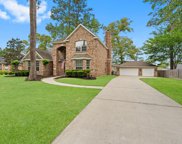 14218 Spring Pines Drive, Tomball image