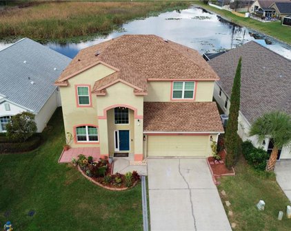 2641 Billingham Dr, Land O' Lakes