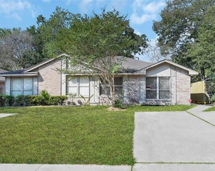 22115 Diane Drive, Spring