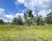 31 W Lynnhaven Place, Citrus Springs image