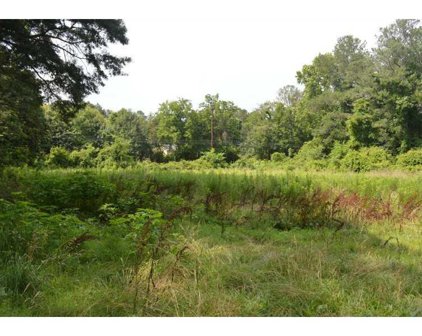 410 Coleman Road, Roswell