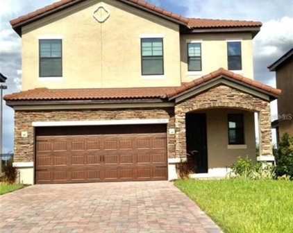 2036 Leather Fern Drive, Ocoee