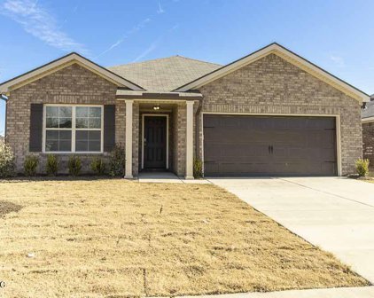 8696 Mary Frances Drive, Southaven
