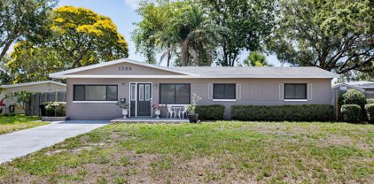 1298 61st Avenue N, St Petersburg