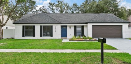 1415 Peachfield Drive, Valrico