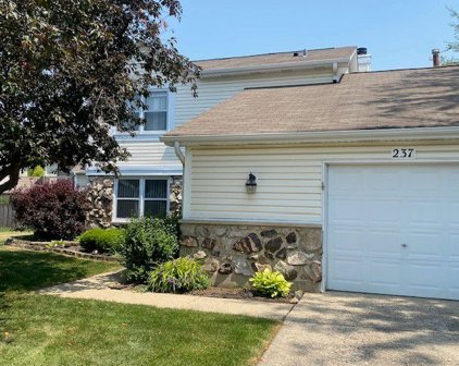 237 Amberwood Court, Bloomingdale