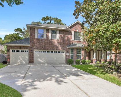 10 Hollow Glen Place, The Woodlands