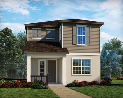 14355 Braemar Street, Winter Garden