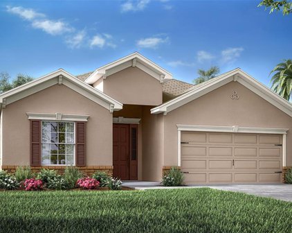 733 Daphne Drive, Polk City