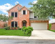 24422 Flint Crk, San Antonio image