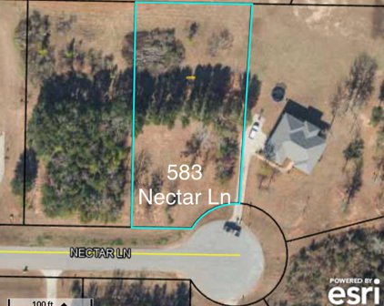 583 NECTAR LANE, Albany