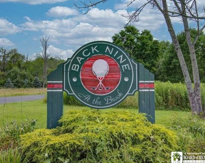 Topo  Lane, Ellicott-063889