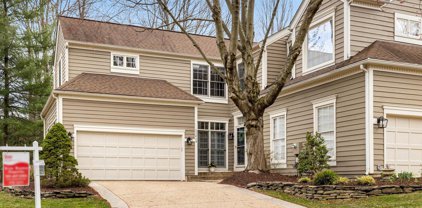 11419 Hollow Timber Way, Reston