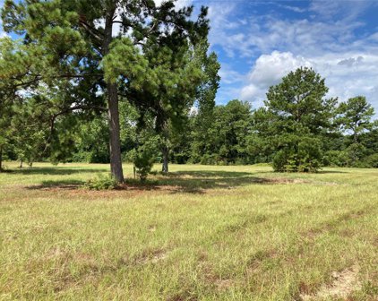 TBD FM 1725 Road, Willis