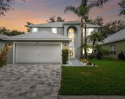 8213 Canary Canyon Way, Tampa image