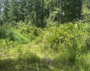 1900 Old River Trail, Chuluota image