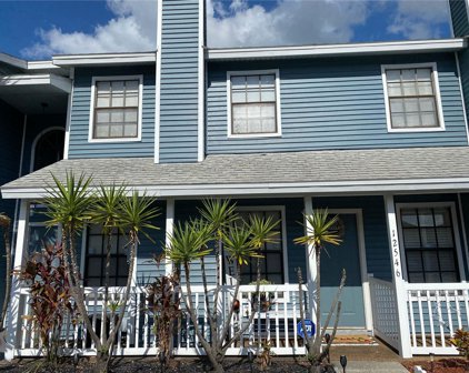 12546 Castle Hill Drive, Tampa