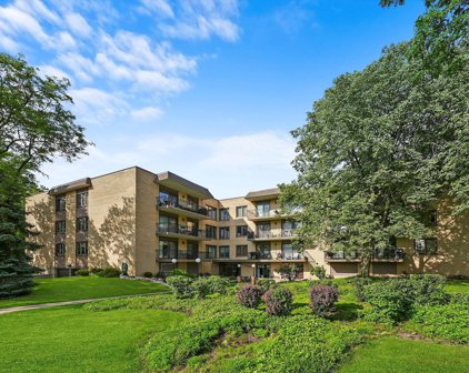 6935 N Milwaukee Avenue Unit #307, Niles