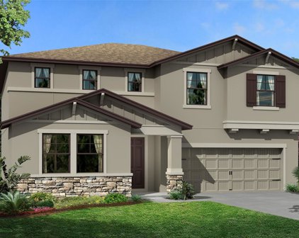 31988 Sapna Chime Drive, Zephyrhills