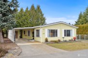 5223 Chelan Lane SE, Lacey image