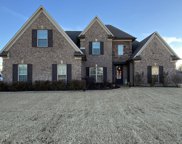 125 Buck Trail Ln, Atoka image