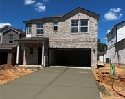8034 Peppercorn Street, Willis image
